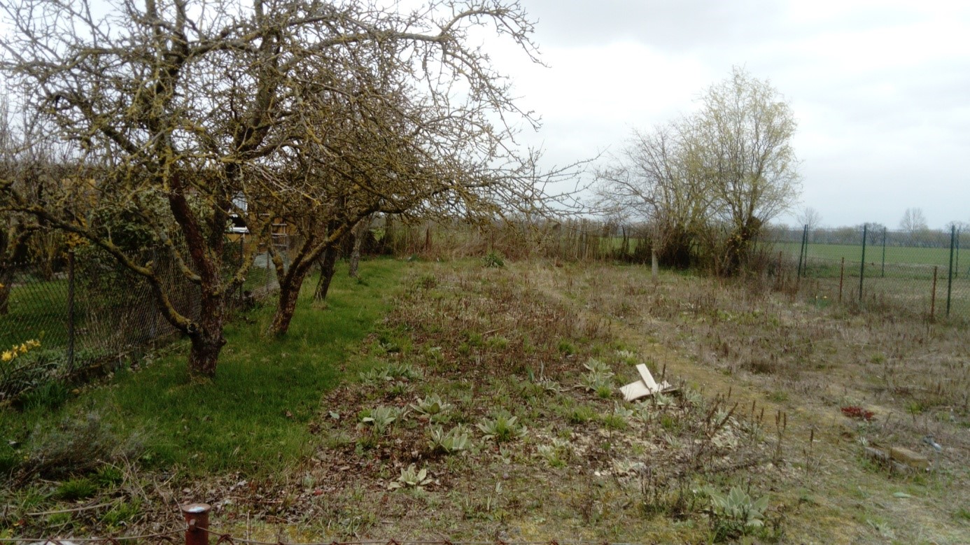 58+ Gartensparte Wenn Gärten Verloddern Was Macht Der Vorstand, Im